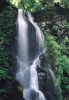 滝